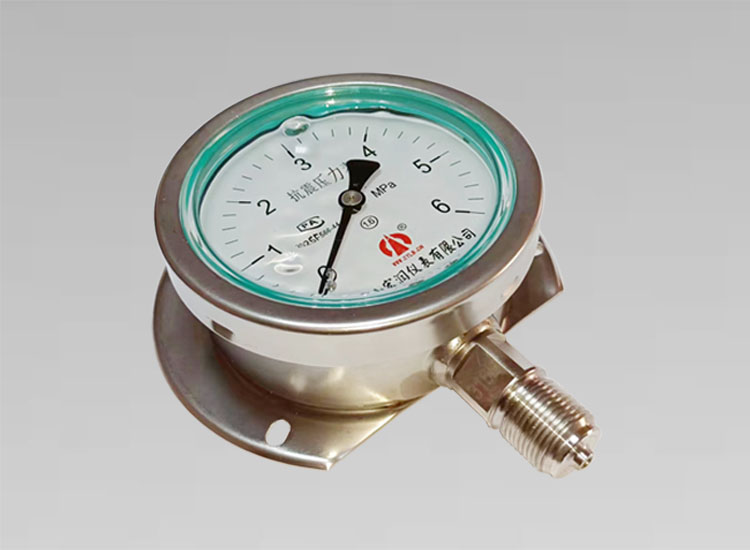 YNBF-100H/6MPa/径向M20*1.5